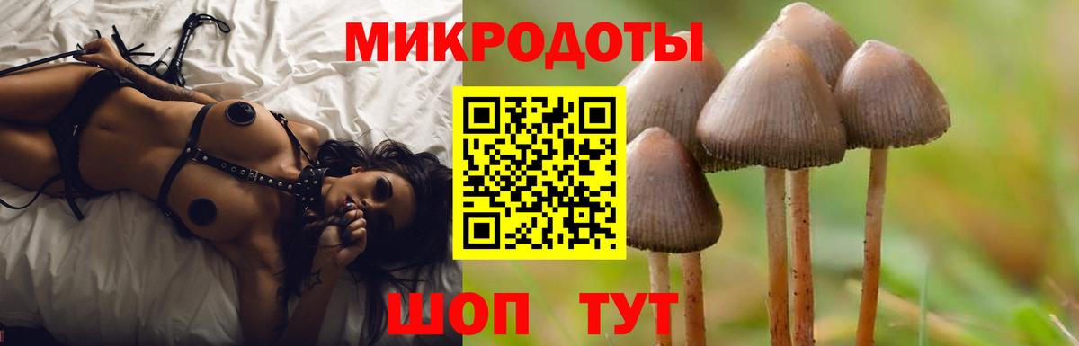 Галлюциногенные грибы MAGIC MUSHROOMS Прохладный